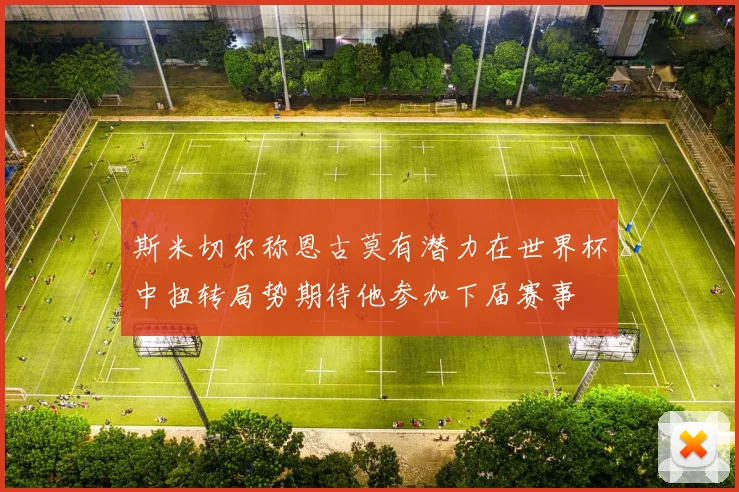 斯米切尔称恩古莫有潜力在世界杯中扭转局势期待他参加下届赛事