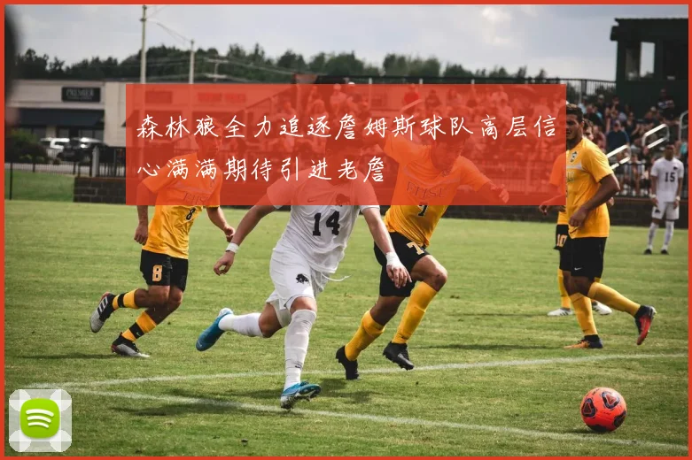 森林狼全力追逐詹姆斯球队高层信心满满期待引进老詹